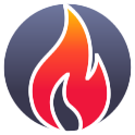 Buzz Gas Fireplace Service